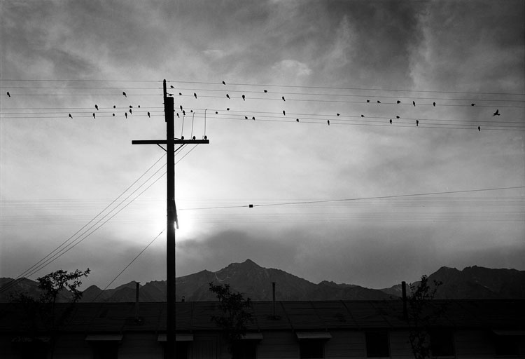Ansel Adams, 400 Photographs on Amazon Ansel Adams, ‘Manzanar birds on wire' - The Culturium