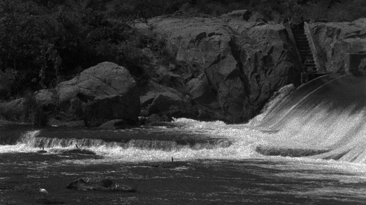 Catching the Big Fish: Meditation, Consciousness, and Creativity on Amazon Paula Marvelly, ‘India' - The Culturium