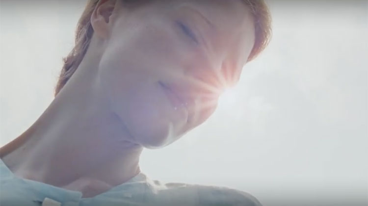 Terrence Malick, The Tree of Life on iTunes and Amazon Terrence Malick, 'The Tree of Life' - The Culturium