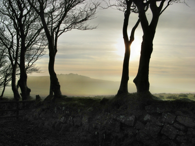 Roy Whenary, Near Merrivale, Dartmoor - The Culturium