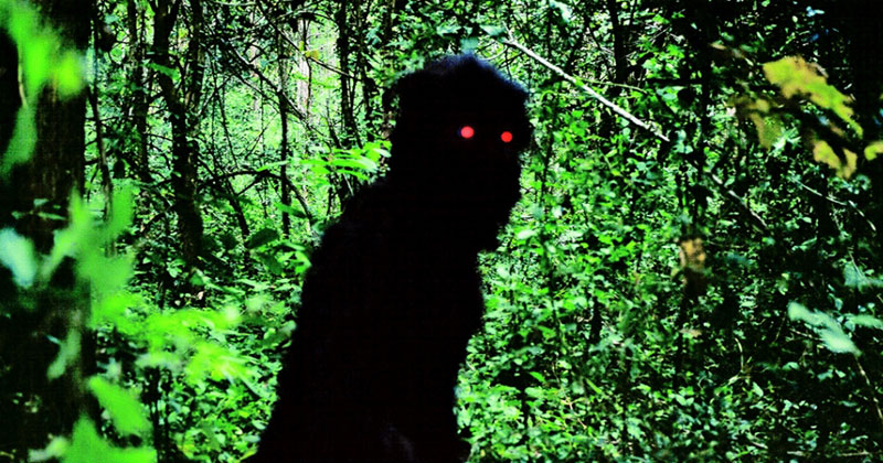 Apichatpong Weerasethakul, Uncle Boonmee Who Can Recall His Past Lives - The Culturium
