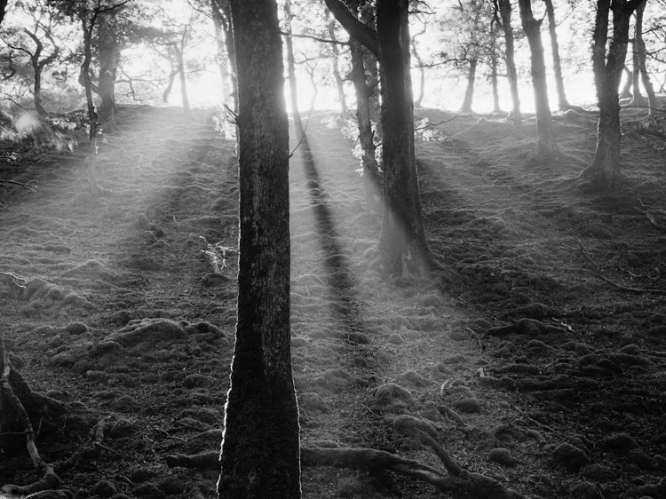 Ron Rosenstock, Sunset at Sheeffrey, Co. Mayo, Ireland, 1986 - The Culturium