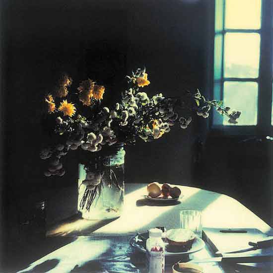 Andrei Tarkovsky, Instant Light - The Culturium