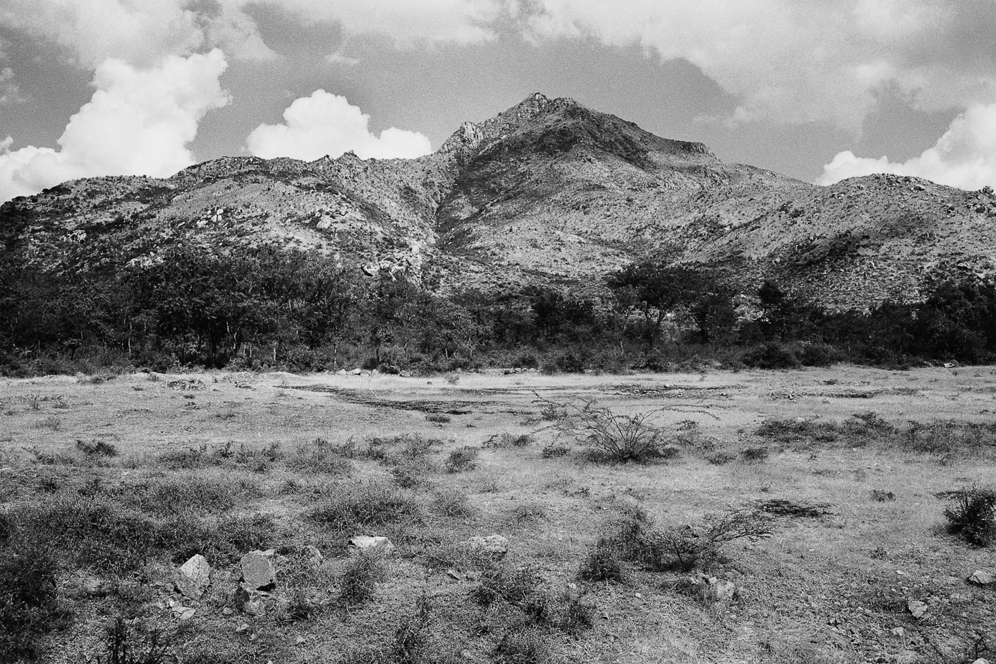 Ditmar Bollaert, Arunachala Pradakshina - The Culturium