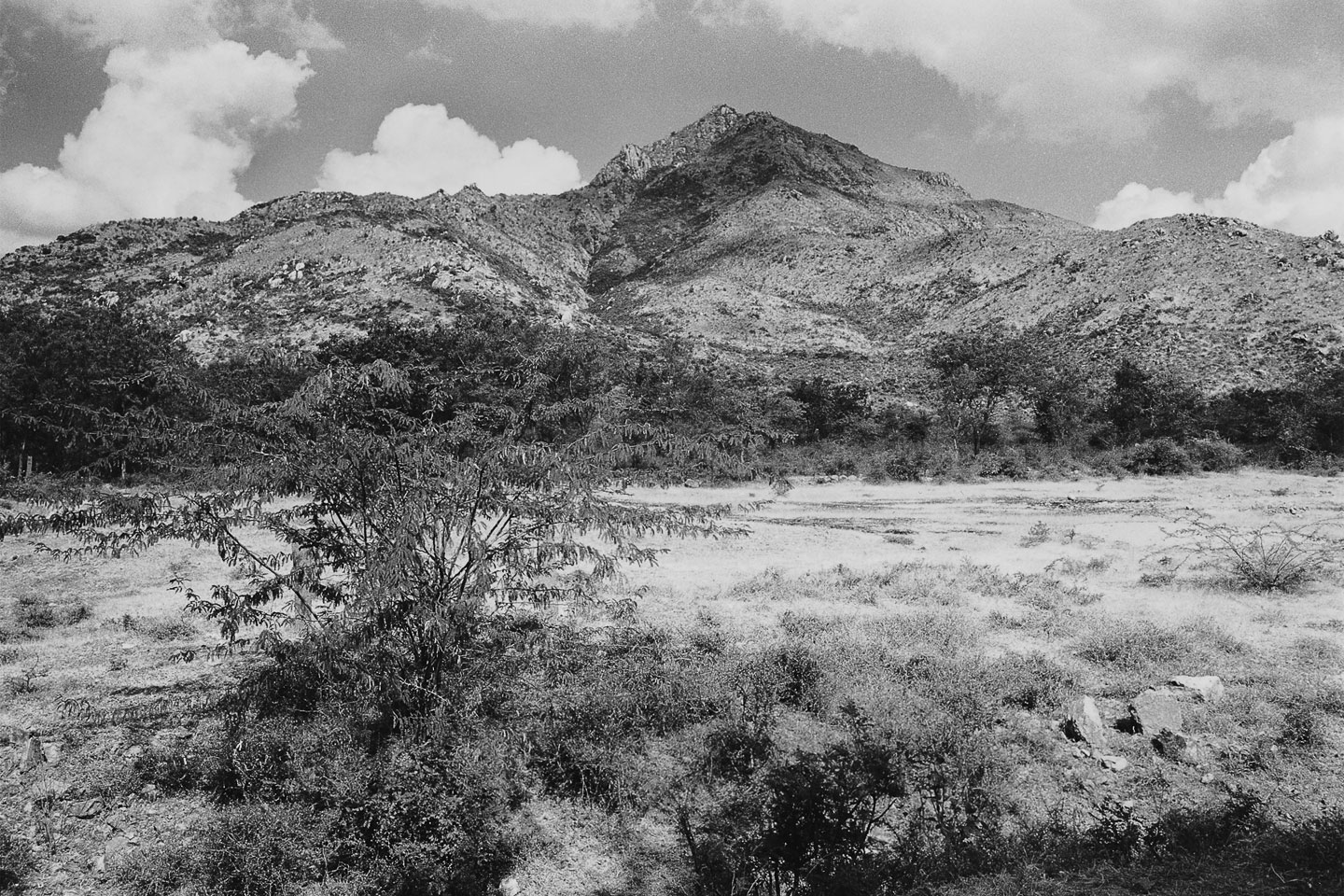 Ditmar Bollaert, Arunachala Pradakshina - The Culturium