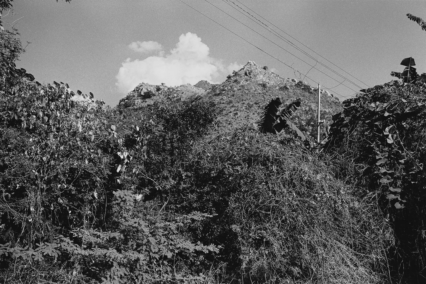 Ditmar Bollaert, Arunachala Pradakshina - The Culturium