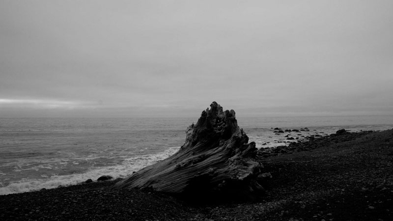 M. A. Littler, Lost Coast - The Culturium