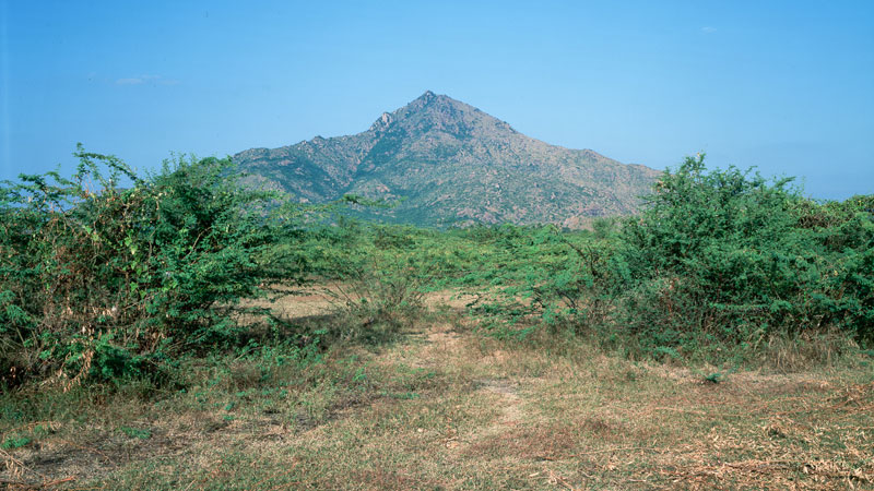 Ditmar Bollaert, Annamalai Nagar - The Culturium