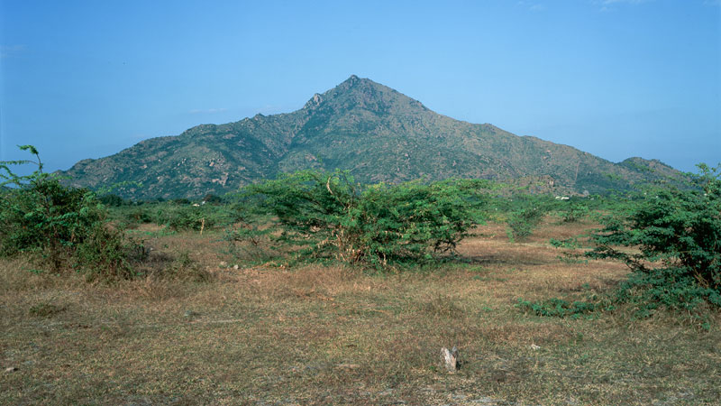 Ditmar Bollaert, Annamalai Nagar - The Culturium