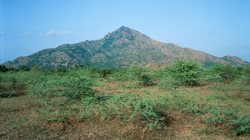 Ditmar Bollaert, Annamalai Nagar - The Culturium