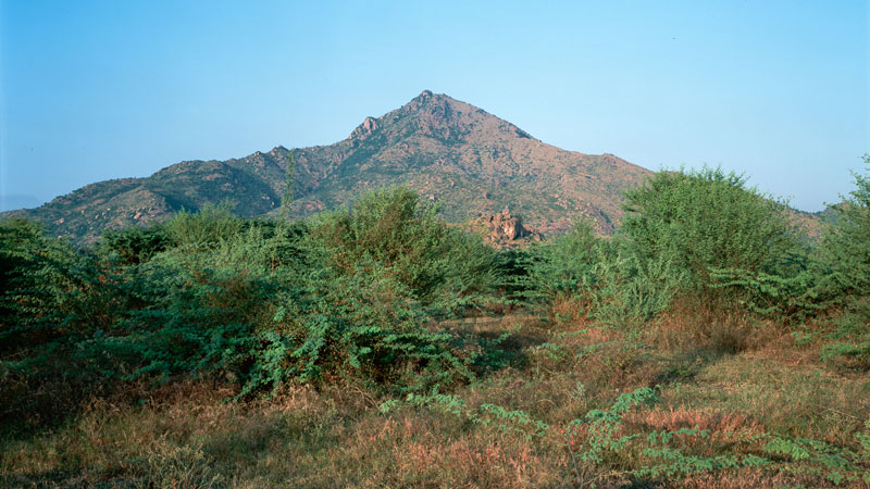 Ditmar Bollaert, Annamalai Nagar - The Culturium