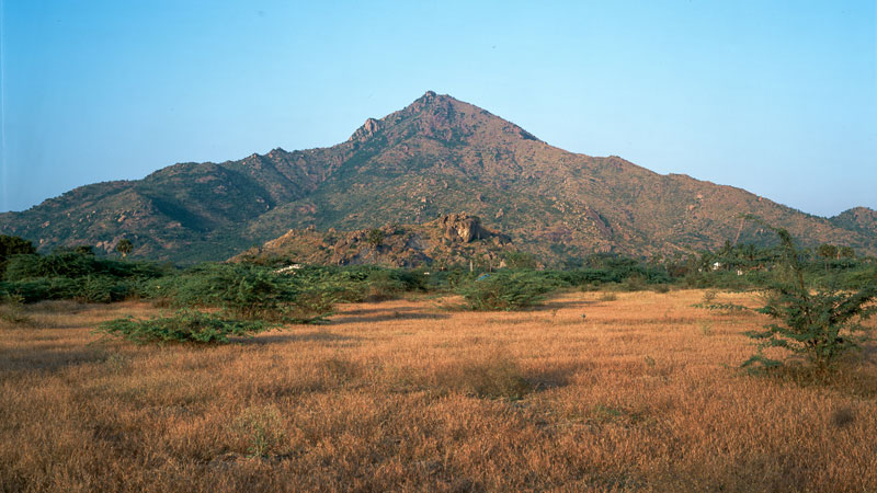 Ditmar Bollaert, Annamalai Nagar - The Culturium