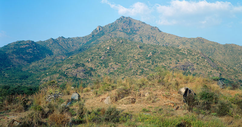 Ditmar Bollaert, Arunachala Maya - The Culturium