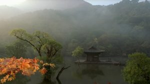 Kim Ki-duk, Spring, Summer, Autumn, Winter ... and Spring - The Culturium