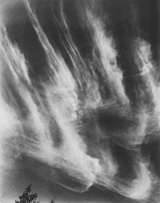 Alfred Stieglitz, Equivalents - The Culturium