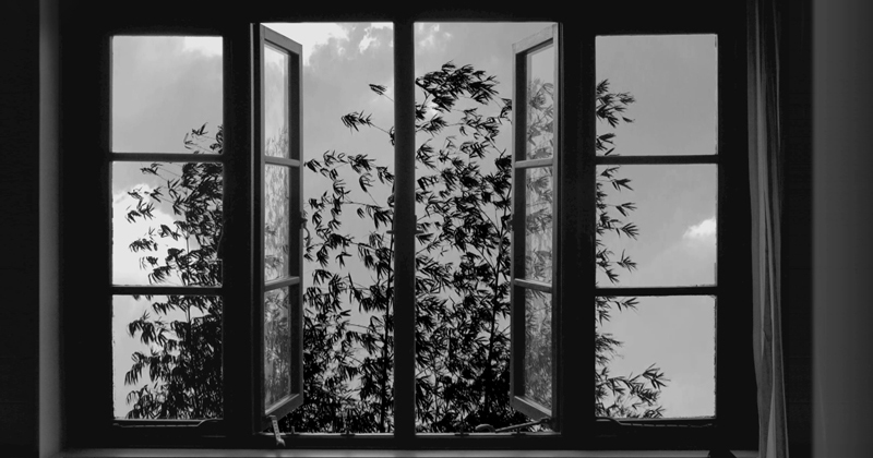 Abbas Kiarostami, 24 Frames - The Culturium