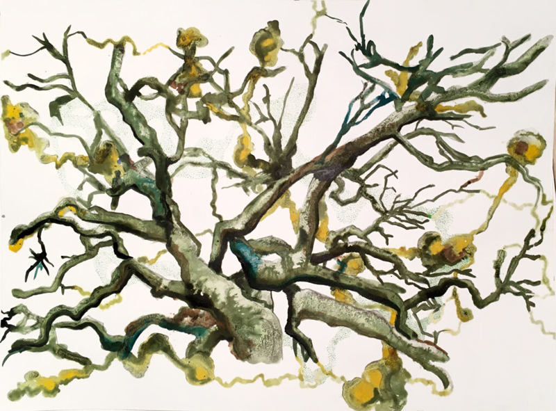 Tal Waldman, Trees and Light - The Culturium