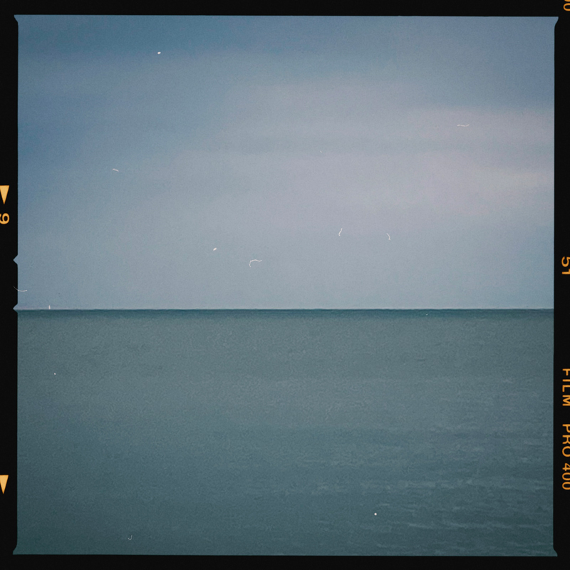 Paula Marvelly, Prospect Cottage - The Culturium