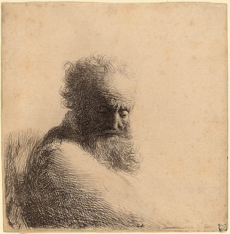 Rembrandt, An Old Man - The Culturium