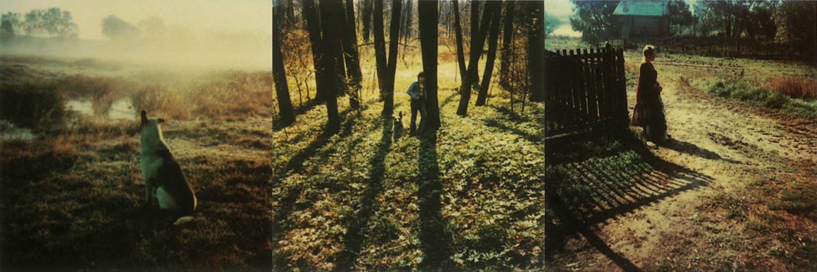 Andrei Tarkovsky: Instant Light