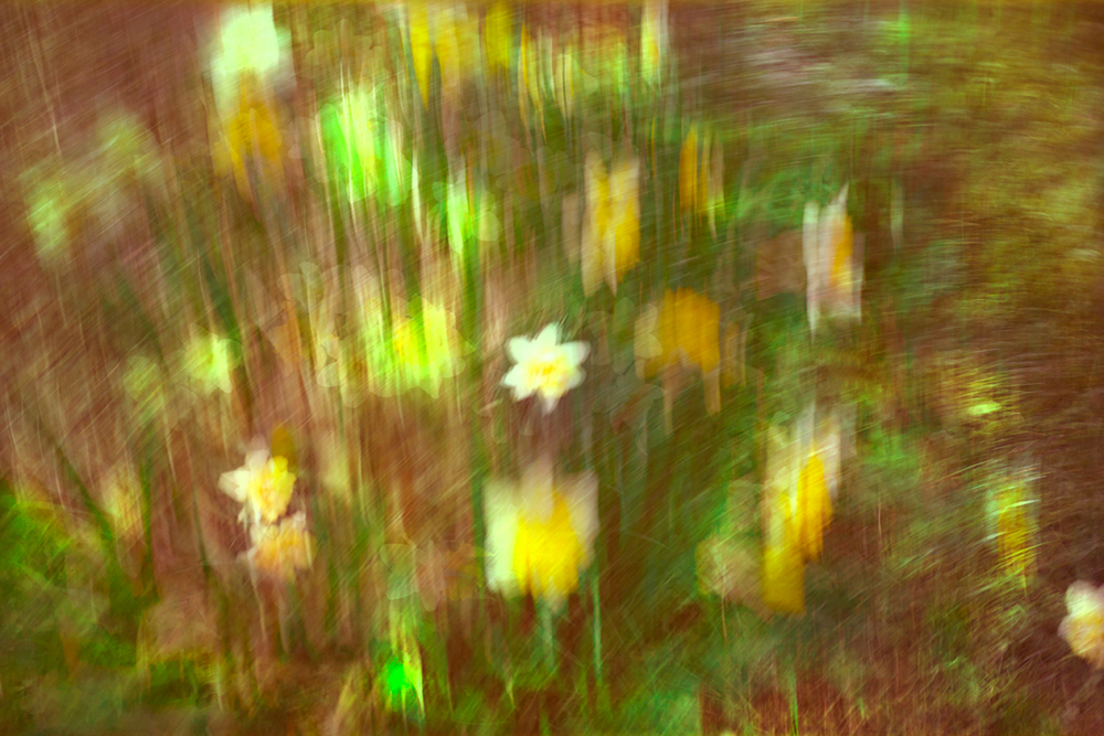 Jadina Lilien, Falling Prayers - The Culturium