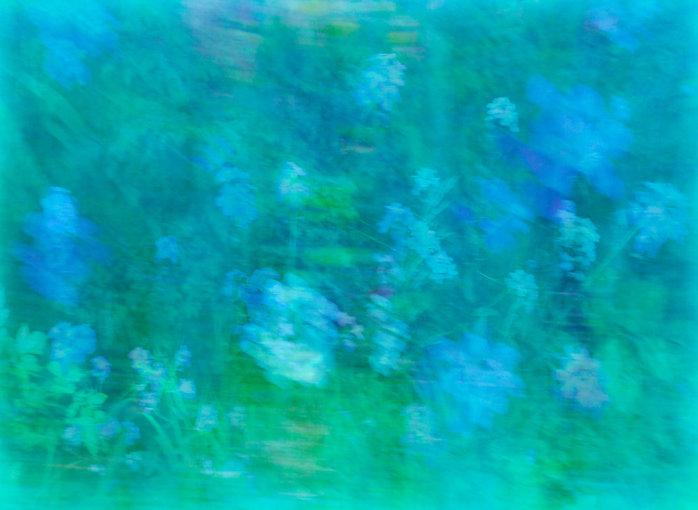 Jadina Lilien, Sea of Blue - The Culturium