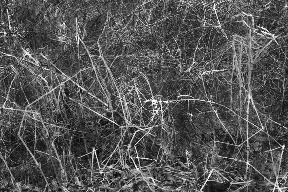 Jadina Lilien, Threads of Existence - The Culturium