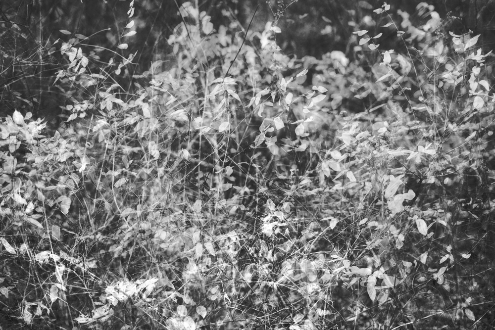 Jadina Lilien, Woven From Randomness - The Culturium