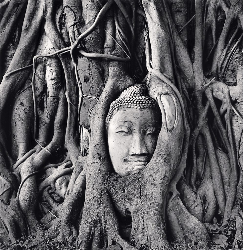 Michael Kenna, Wat Mahathat Buddha Head, Ayutthaya, Thailand, 2019 - The Culturium