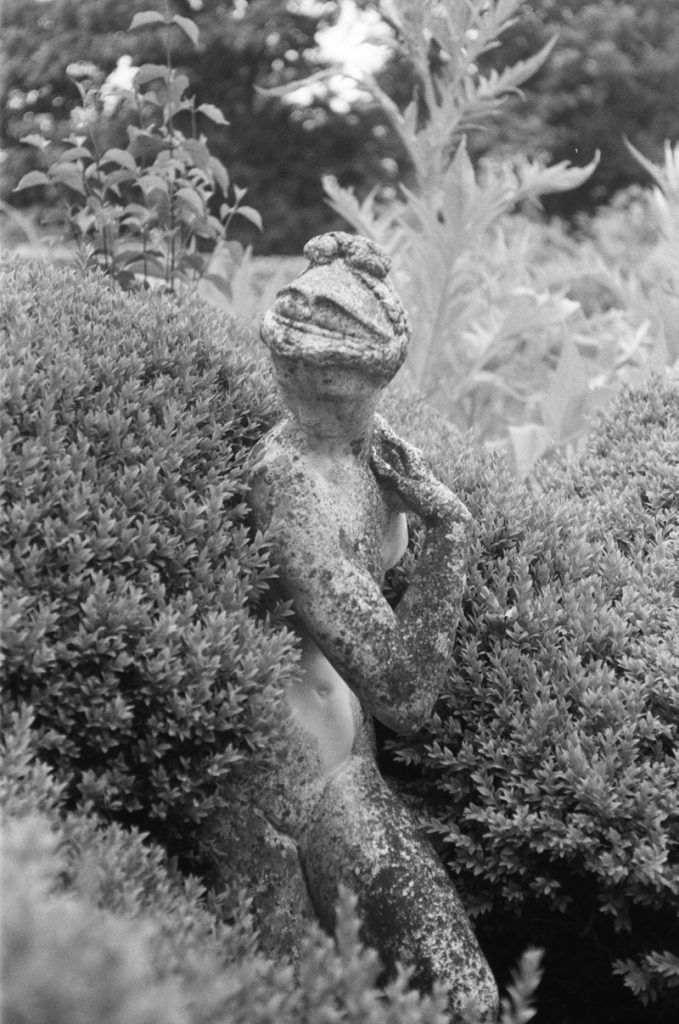 Paula Marvelly, Charleston - The Culturium