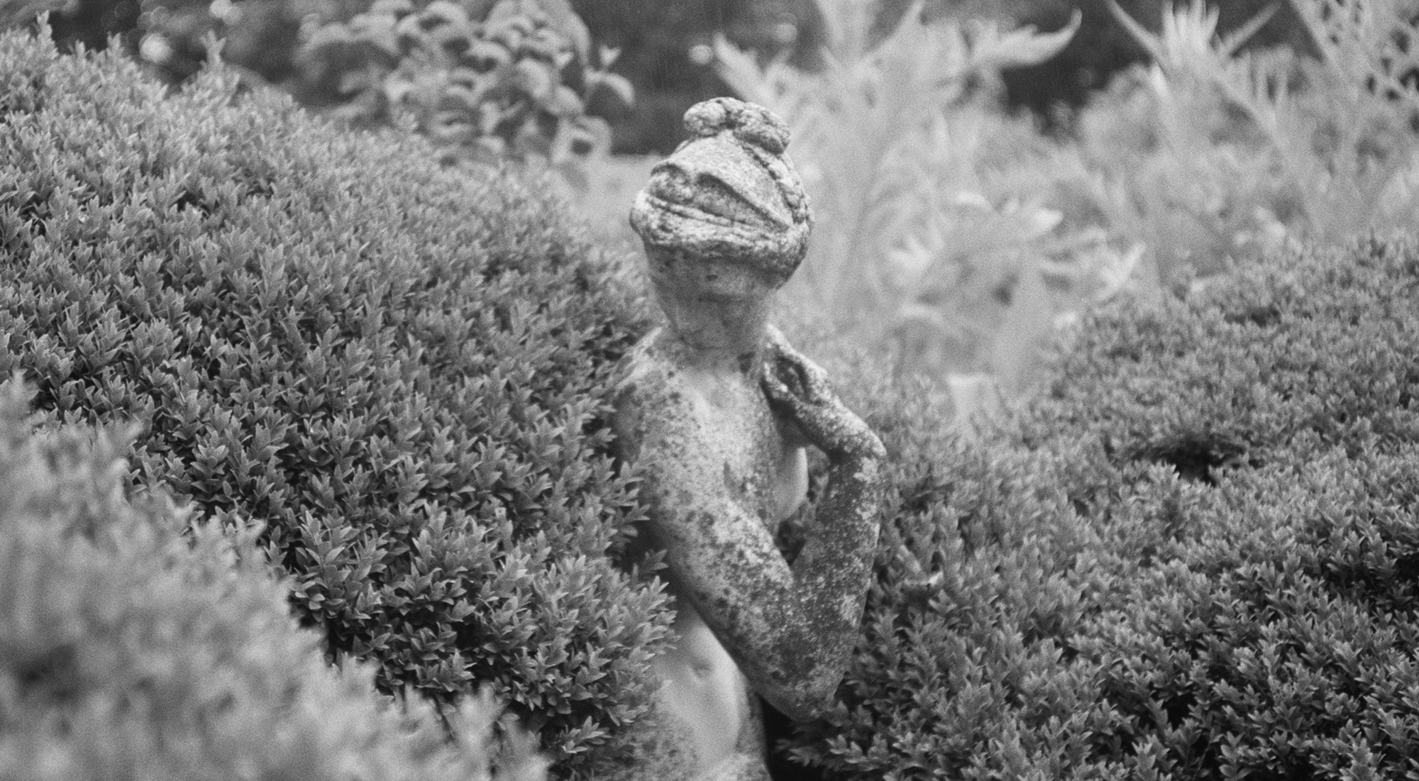 Marcus Aurelius: Meditations