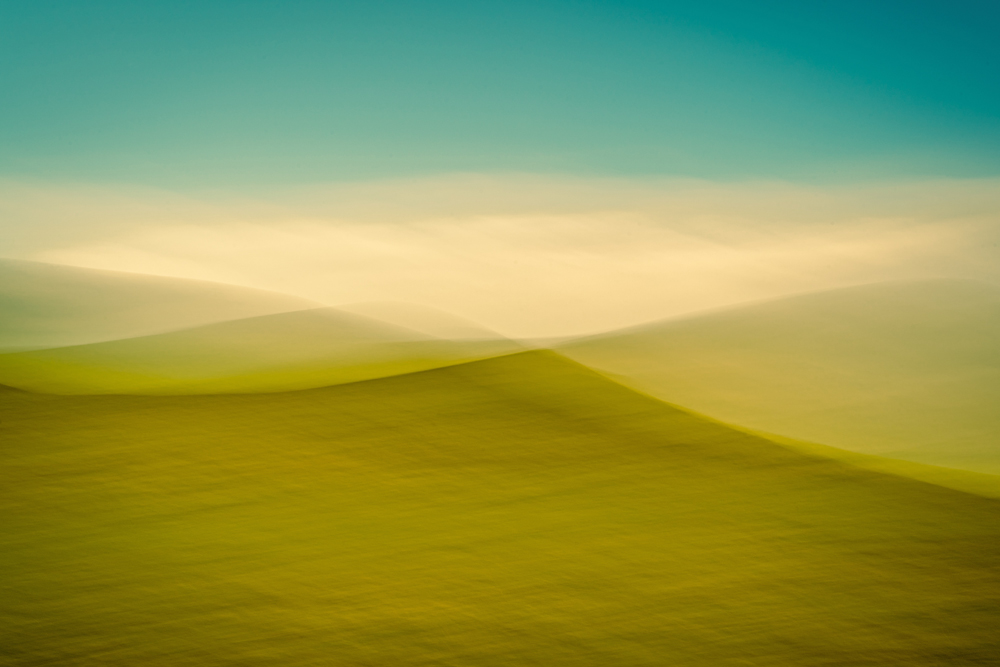 Sally Mason, Stillness In Motion - The Culturium