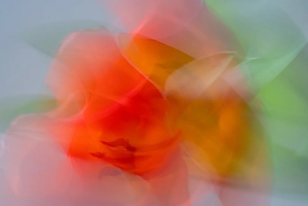 Sally Mason, Stillness In Motion - The Culturium