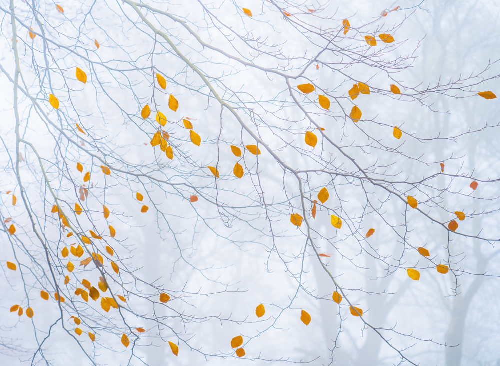 Sally Mason, Stillness In Motion - The Culturium