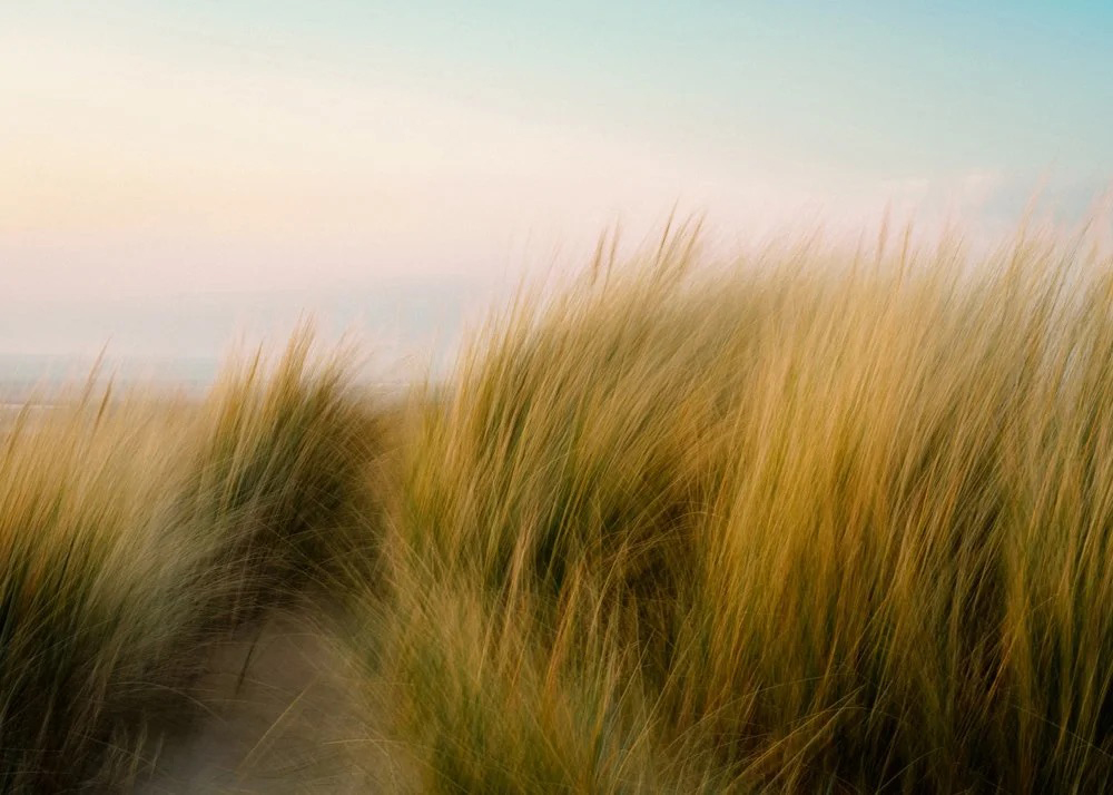 Sally Mason, Stillness In Motion - The Culturium