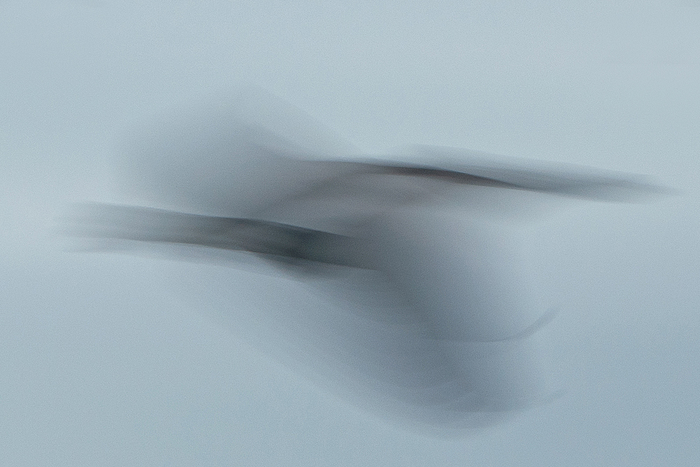 Ronald Peeters, Echoes From Eternity - The Culturium