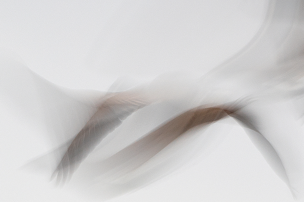 Ronald Peeters, Echoes From Eternity - The Culturium