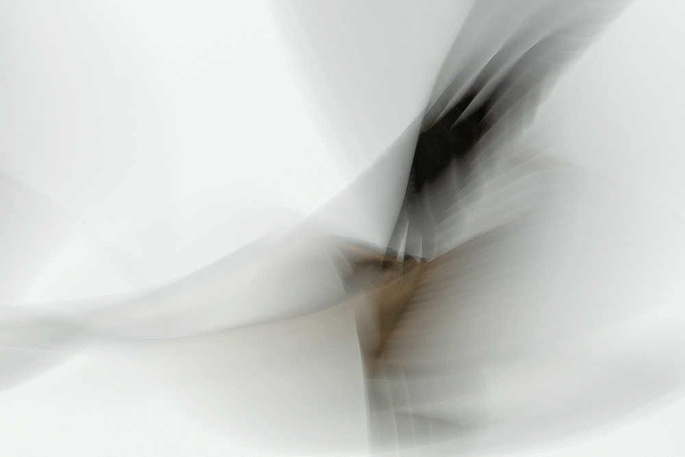 Ronald Peeters, Echoes From Eternity - The Culturium