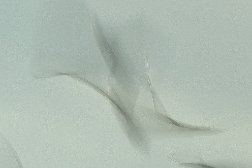 Ronald Peeters, Echoes From Eternity - The Culturium