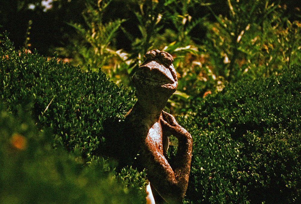 Paula Marvelly, Charleston - The Culturium