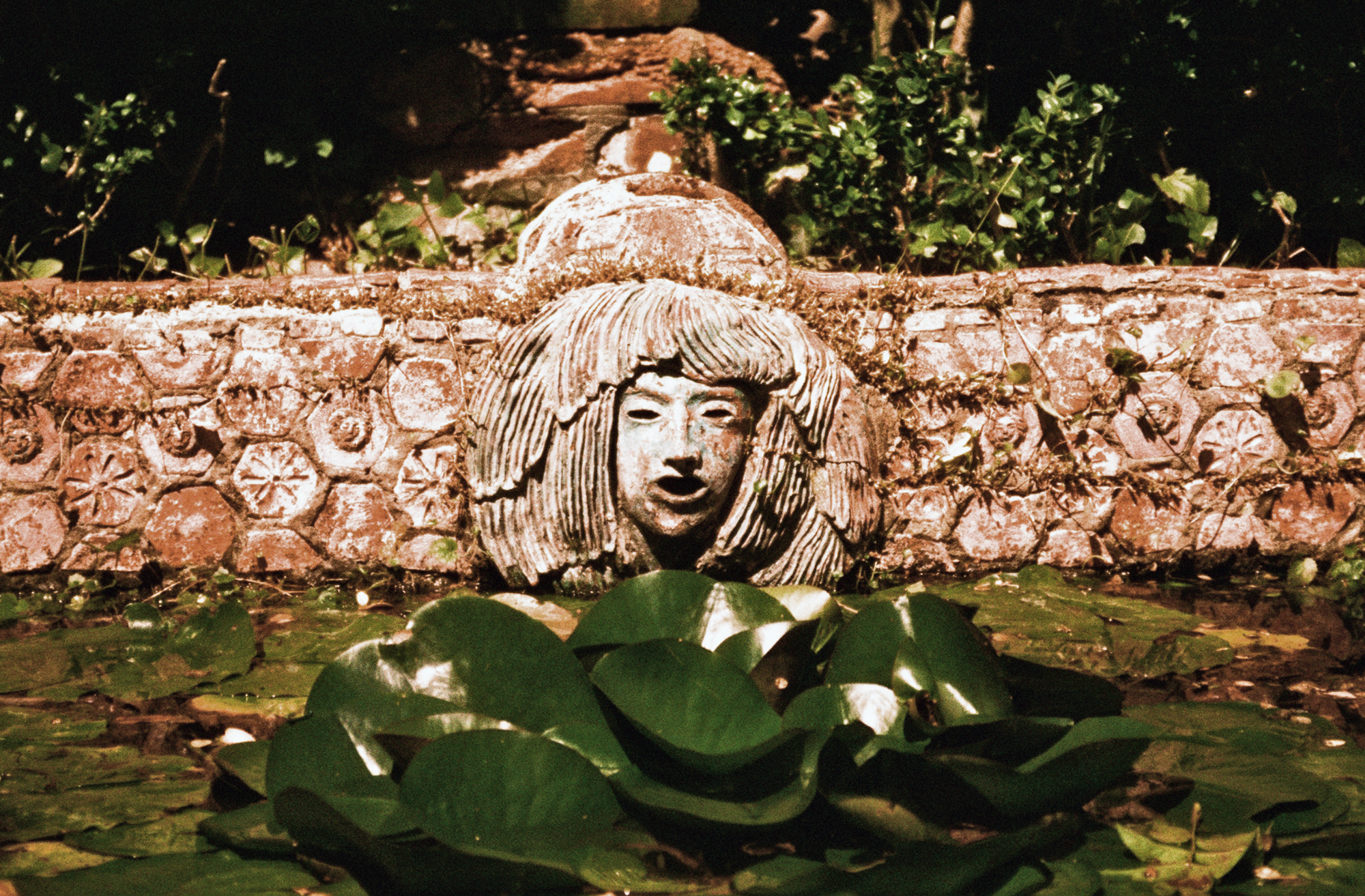 George Orwell: Some Thoughts on the Common Toad