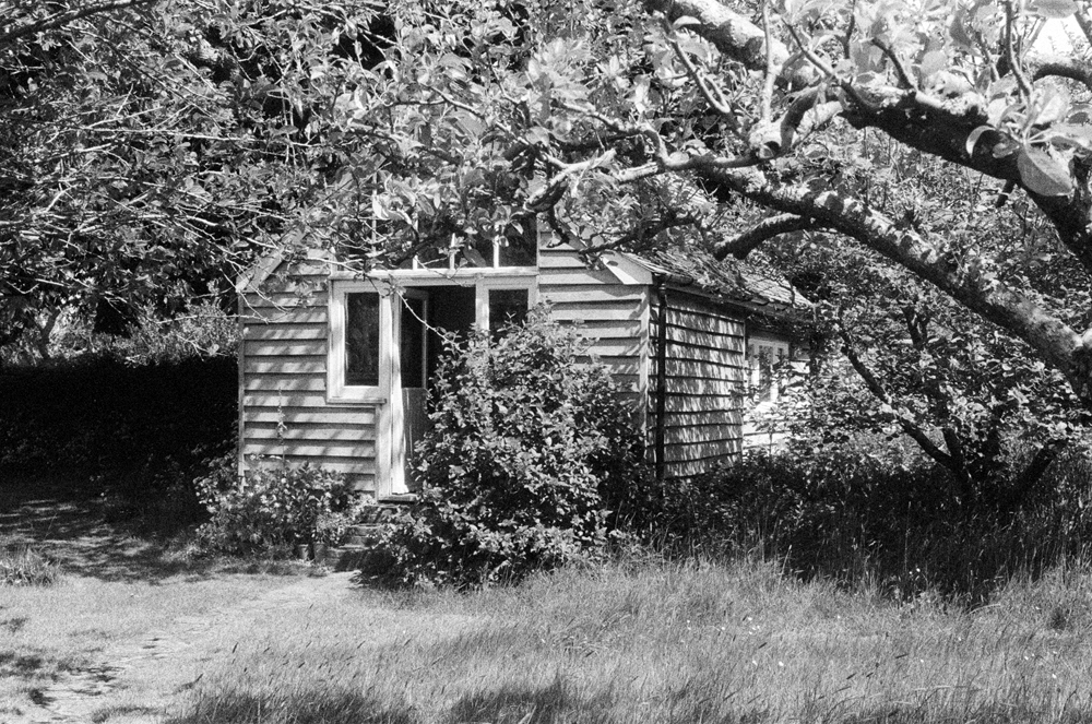 Paula Marvelly, Monk's House - The Culturium