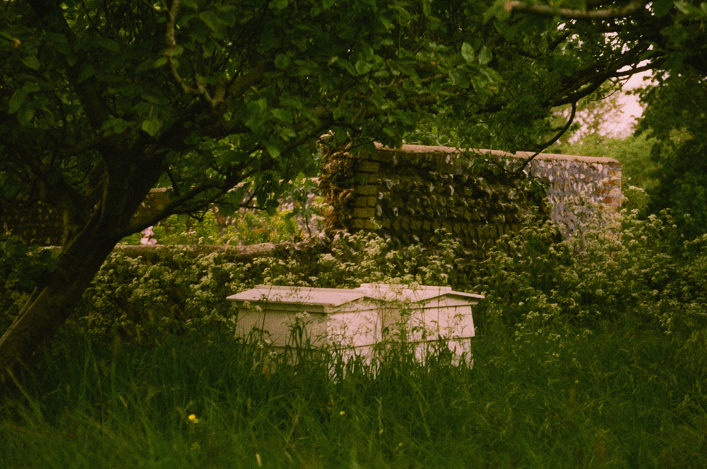 Paula Marvelly, Monk's House - The Culturium