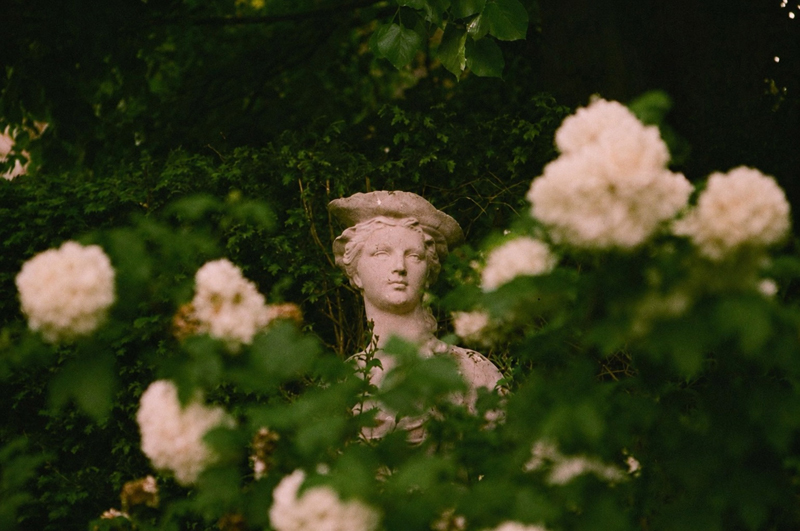 Paula Marvelly, Virginia Woolf & Monk's House - The Culturium